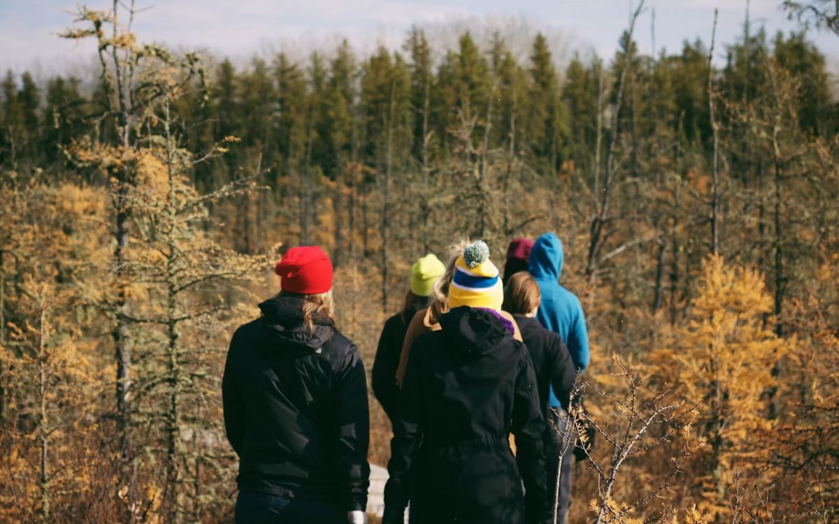 rootstobranchestherapy