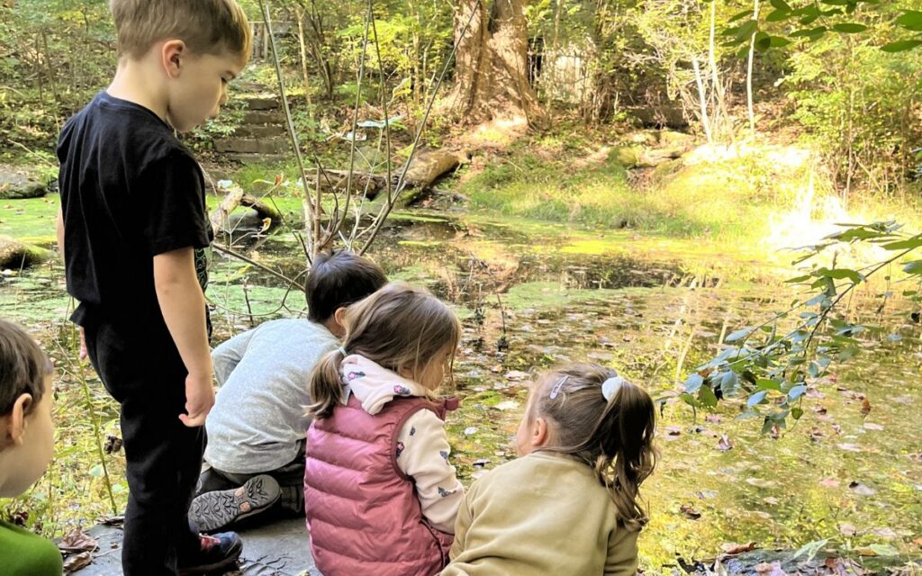 schuylkill center preschool (4)