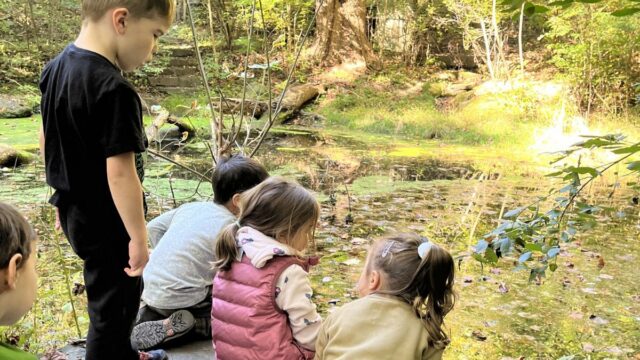 schuylkill center preschool (4)