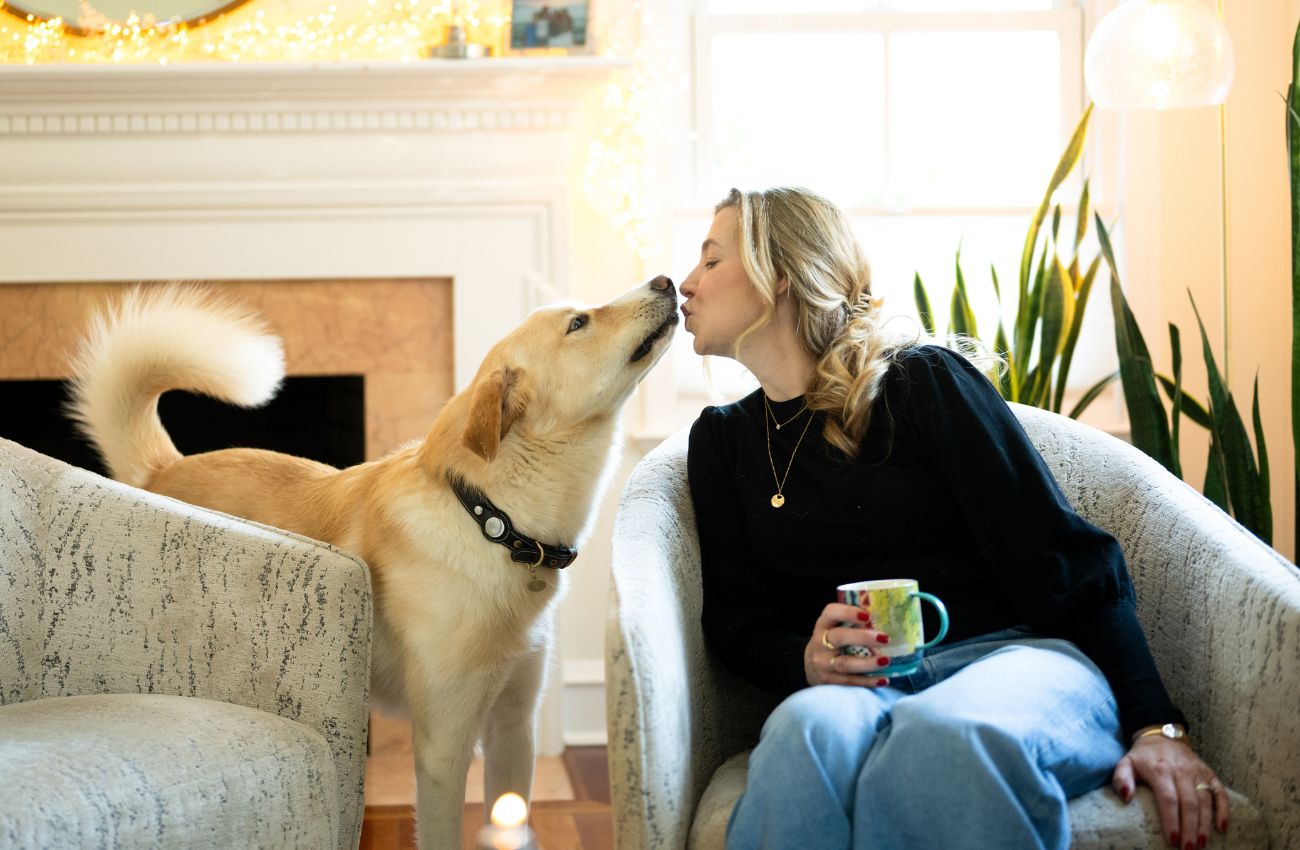 Gladwyne Animal Hospital dog kisses woman.