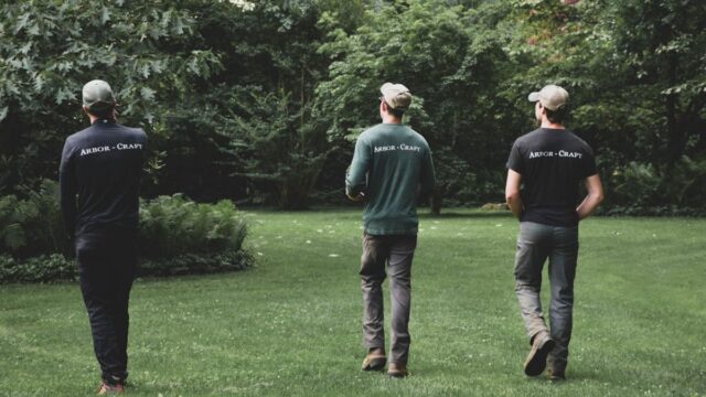 arbor-craft