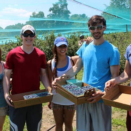 Linvilla Blueberry Fest
