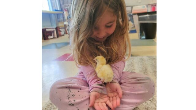 Temple-Sholom-Preschool-2