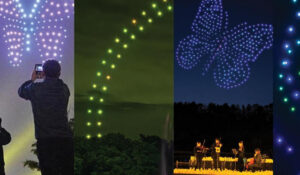Fireworks at Longwood Gardens