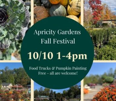 Apricity Gardens Fall Festival