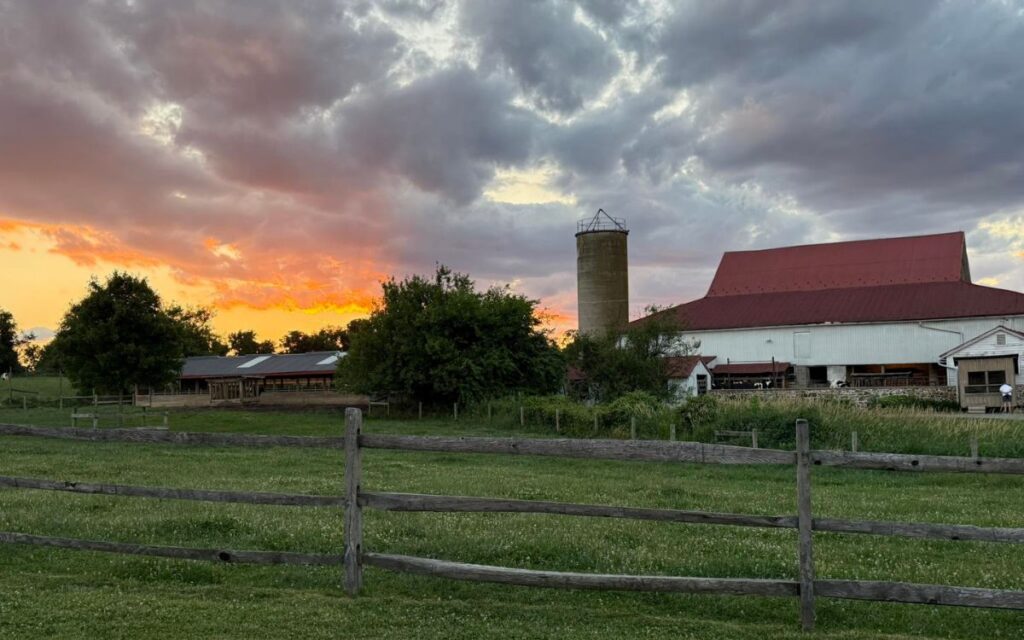 Milky Way Farm