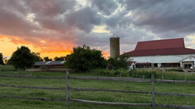 milky way farm