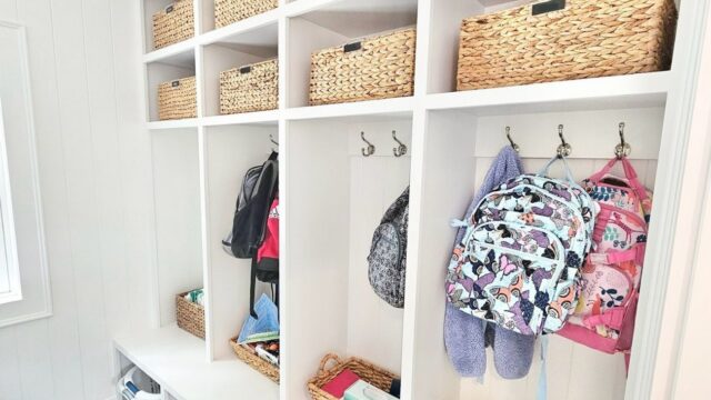 bee-organized-photo2