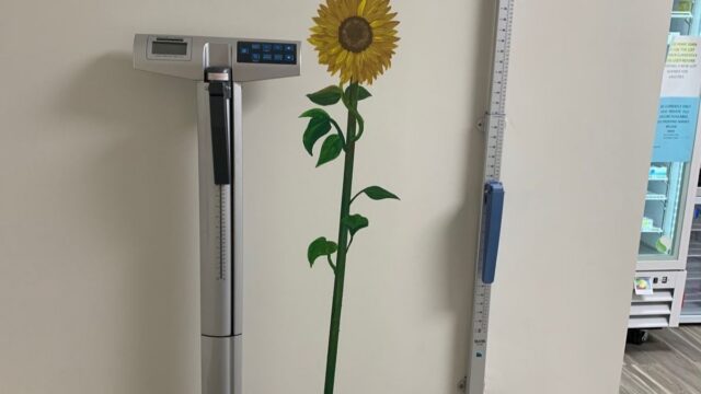 flower-wall-fairmount-advocare