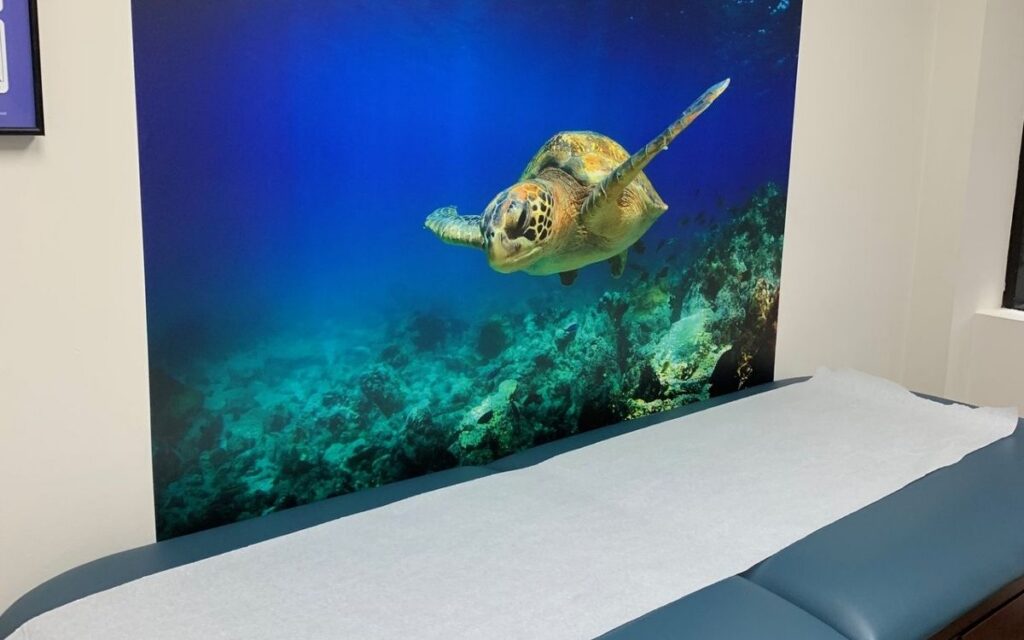 turtle-wall-fairmount-advocare